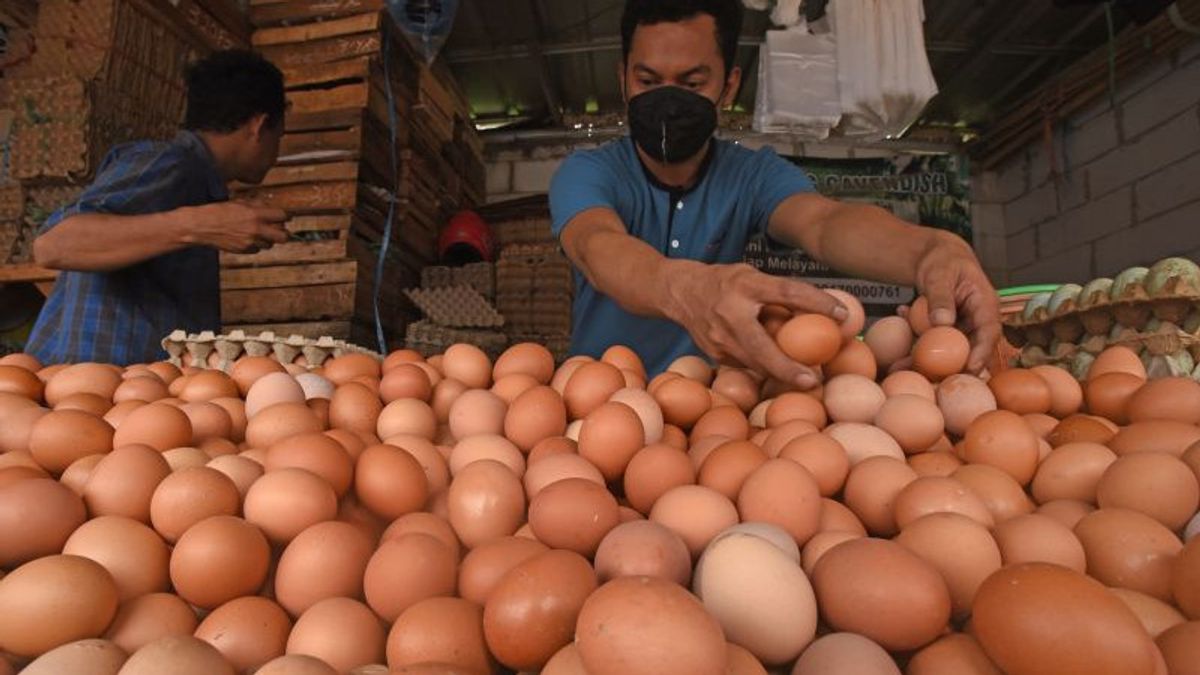 除鸡蛋外，DKI省政府保证雅加达圣诞节和新年前的食品价格得到控制