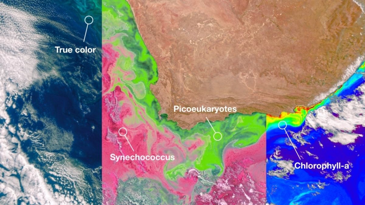 La NASA partage les premières observations de la Terre du satellite Puni