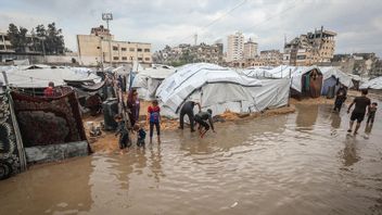 عابرون غزة يفتقدون جنينهم بعد سقوط خيمة للاجئين بسبب سوء الأحوال الجوية