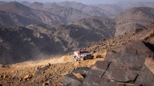 Motul Tegaskan Komitmen Motorsport Global Lewat Rally Dakar dan Dukungan untuk Jejelogy