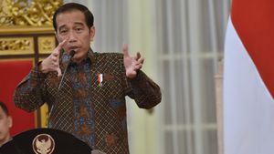 Jokowi soal Pembangunan IKN: Yang Paling Penting Proteksi Orang Utan