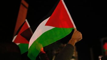 Ketegasan DPR di Forum Parlemen OKI Dinilai Perkuat Posisi RI Bela Kemerdekaan Palestina
