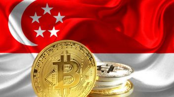 Singapore Sets Domestic Crypto Rules With Police Authorities