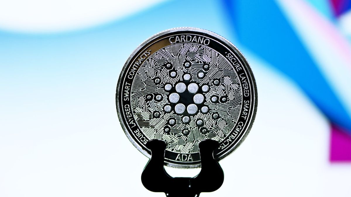 Wow! Cardano Holder Increases By 1600 Percent