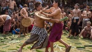 Getting To Know The Pandan War, A Tradition That Remains Lestari In Bali Even Though It Causes Wounds
