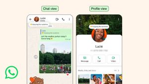 WhatsApp Perbarui Fitur About, Tampilannya Mirip Instagram Notes
