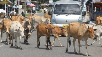インドネシアの畜舎として、NTTはFMDの脅威をどのように予測していますか?