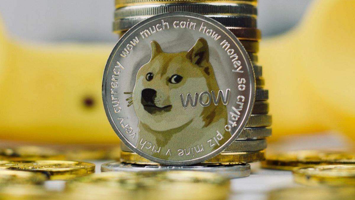 Whale DOGE Starts Activating 5.3 Million Dogecoins After Saving It For 9.8 Years