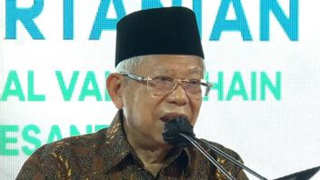 副总统马鲁夫·阿明提醒粮食安全对印尼很重要