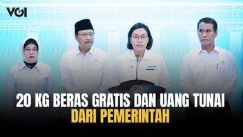 Pemerintah Keluarkan Kebijakan Ekonomi Nasional, 18,3 Juta Keluarga Dapat Beras dan Uang Tunai