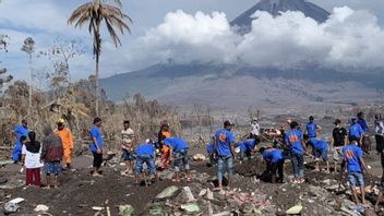 Warga Berbondong-bondong Bantu Cari Harta Benda yang Tertimbun Material Vulkanik Gunung Semeru