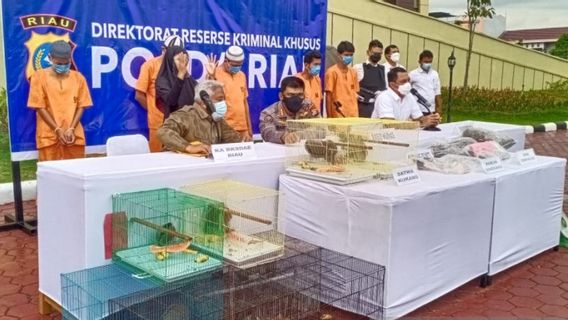 Polda Riau Wanti-wanti Jual Beli Hewan Dilindungi Lewat Media Sosial