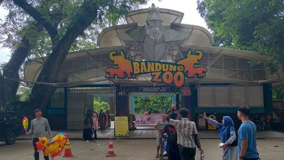 Bandung Zoo Izinan Pengunjung Bawa Makanan demi Jaga Tradisi Botram