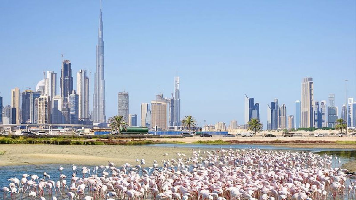5 Lokasi Menarik di Dubai yang Pantang Dilewatkan