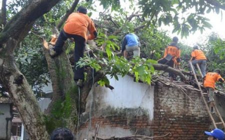 Angin Kencang Terjang Jember, 21 Rumah Rusak