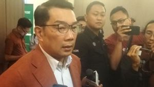 Ridwan Kamil Akui Siap Dipasangkan dengan Suswono Maju Pilkada Jakarta