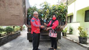    6 Ribu Bibit Durian Gelapir Dikirim ke Kawasan IKN Nusantara