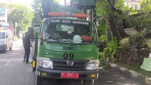 DLHK Denpasar Pangkas Pohon di Jalur Parade Ogoh-ogoh