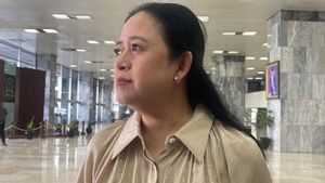 Puan Calls Andika Perkasa One Of The Priorities Of The PDIP Cagub