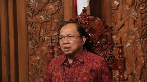 Di DPR, Gubernur Koster Ungkap 'Segudang' Masalah yang Dihadapi Bali