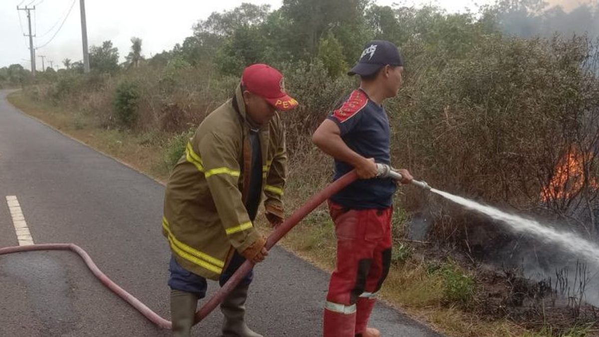 BPBD Belitung Padamkan Kebakaran Lahan Seluas 3 Hektare