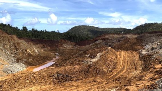 ESDMがラジャ・アンパット及びその他の島々の政府から採掘許可を取得した企業の名前を明らかにする