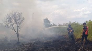    Hingga September 197,42 Hektare Lahan Gambut Terbakar, Tim Gabungan Giatkan Patroli Karhutla