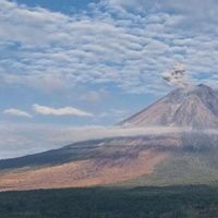Semeru Erupsi Senin Pagi, Kolom Abu Membumbung 800 Meter