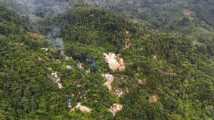 Kemenhut Temukan 88 Lubang Tambang Ilegal di Taman Nasional Gunung Halimun Salak