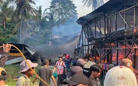 8 Ribu Ayam Mati Terpanggang Akibat Kebakaran di Kolaka