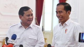 Loyalis Jokowi di Kabinet Prabowo Agar Gibran Tidak Jadi Ban Serep