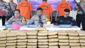 Police Successfully Failed Delivery Of 110 Kg Of Cannabis From North Sumatra To West Sumatra