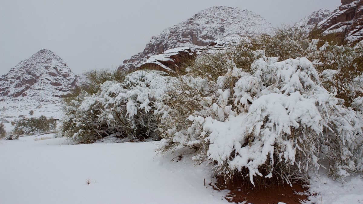 不是现象，塔布克山脉确实是沙特公民每年享受雪的热门目的地