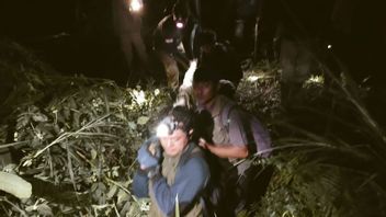 BKSDA: Harimau Mati Terjerat di Agam Pernah Muncul di 2 Kecamatan