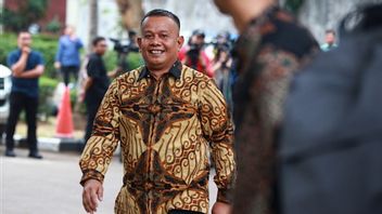 Profil Helvi Yuni Moraza, Resmi Dilantik sebagai Wakil Menteri Usaha Kecil dan Menengah