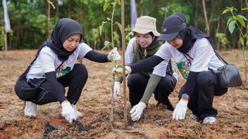 Towards Net Zero Emission, Kaltim Fertilizer Strengthens ESG Commitment
