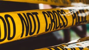 Blackbox Pesawat Militer Turki yang Jatuh Ditemukan, Diperiksa 40 Ahli 