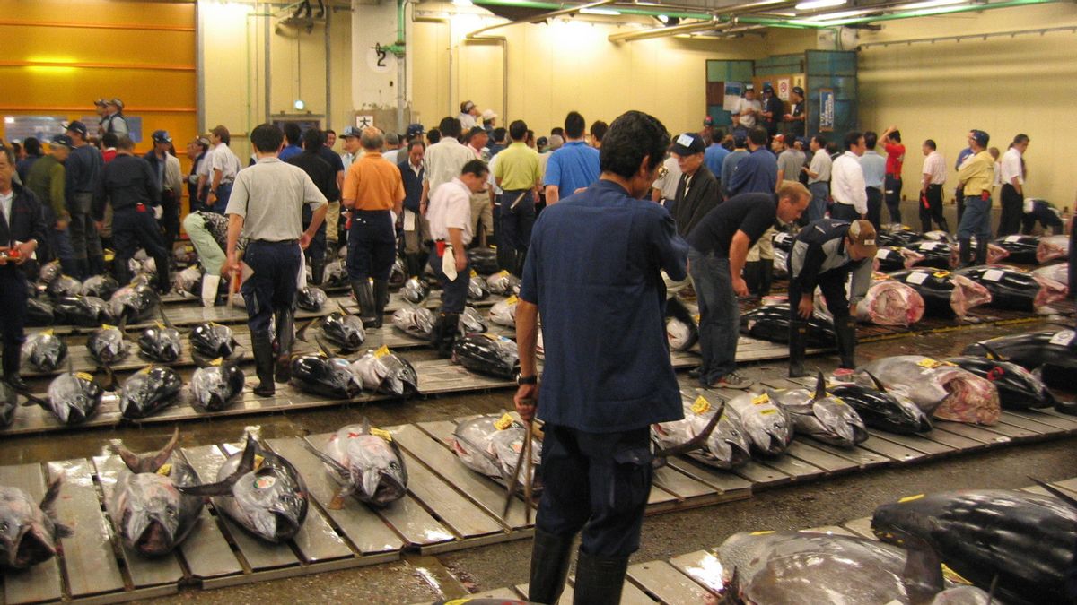 寿司レストランが新年のオークションで540億ルピアのマグロを購入する記録を破る