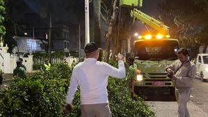 Usai Insiden Pohon Tumbang Akibatkan Korban Jiwa, Pohon di Sepanjang Jalan Metro Pondok Indah Ditebang