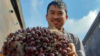 Jenis Komoditas Ekspor Perkebunan Indonesia yang Banyak Diminati Negara-negara Eropa