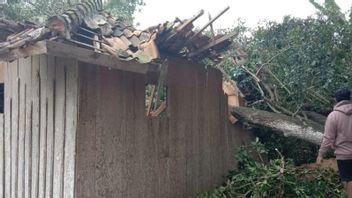 Strong Wind In Pamekasan Collapses Trees And Damages Several Buildings