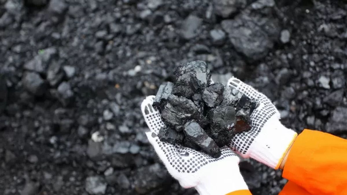 فيما يتعلق بملكية الفحم بنسبة صفر في المائة ، تتمتع إندونيسيا بإمكانات روجي تبلغ 33.8 تريليون روبية إندونيسية