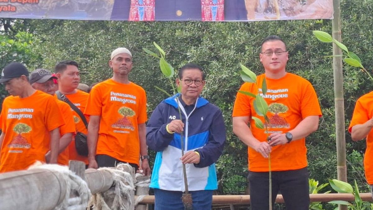 Usai Dilantik Gubernur DKI, Pramono Bakal Tuntut Pelaku Perusakan Mangrove di Pulau Pari Tanggung Jawab  