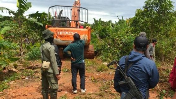 Operator Alat Berat Ditangkap Saat Merambah Hutan di TN Kutai