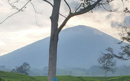 Gunung Dempo Pagaralam Berstatus Waspada Usai Erupsi