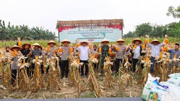 in Banten a atteint 2 442 tonnes, la Police nationale de contrôle de la sécurité alimentaire