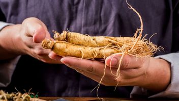 肾脏清洁植物、什么样的?