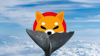 Crypto Whale Buys 293 Billion SHIB, Mystery Or Strategy?