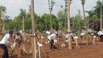 Entering The Rainy Season, Jokowi Calls For Simultaneous Tree Planting Movement