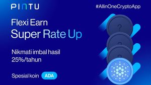 Pengguna Fitur Pintu Earn Naik Hampir 50 Persen, PINTU Perpanjang Program Flexi Earn Super Rate Up